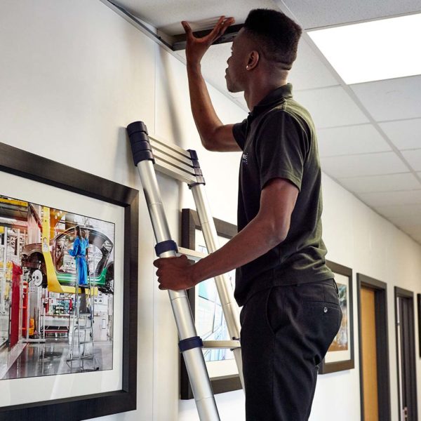 Telescopic Ladder